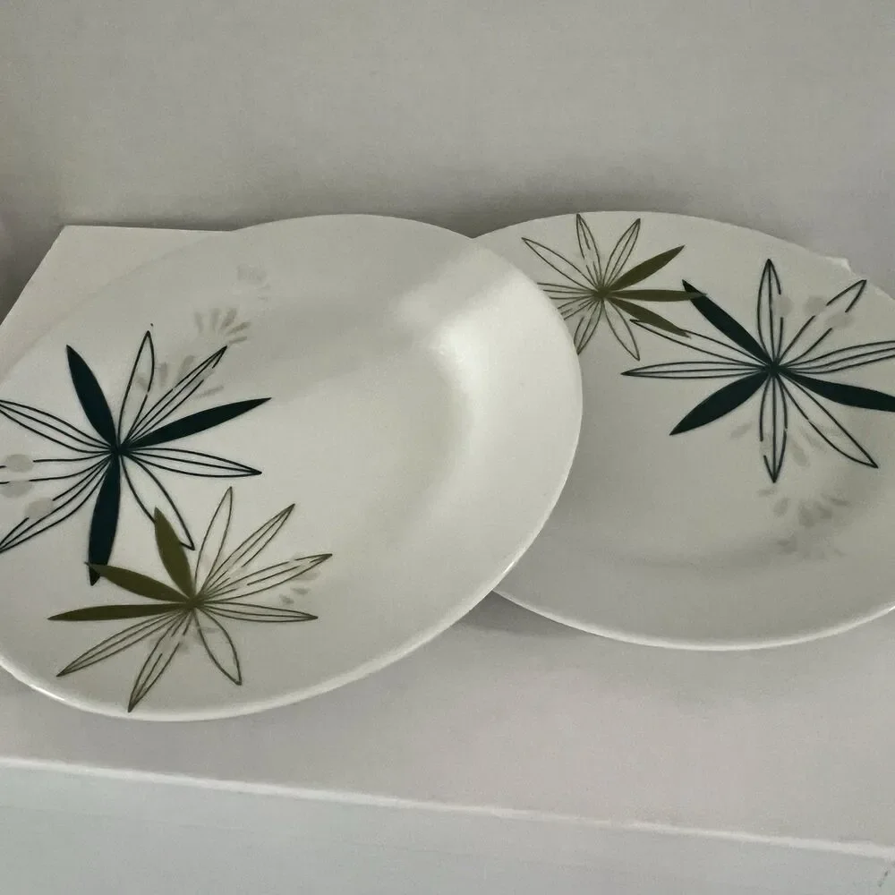 2 Pier 1 One MCM Retro Floral Design Green Silver 8